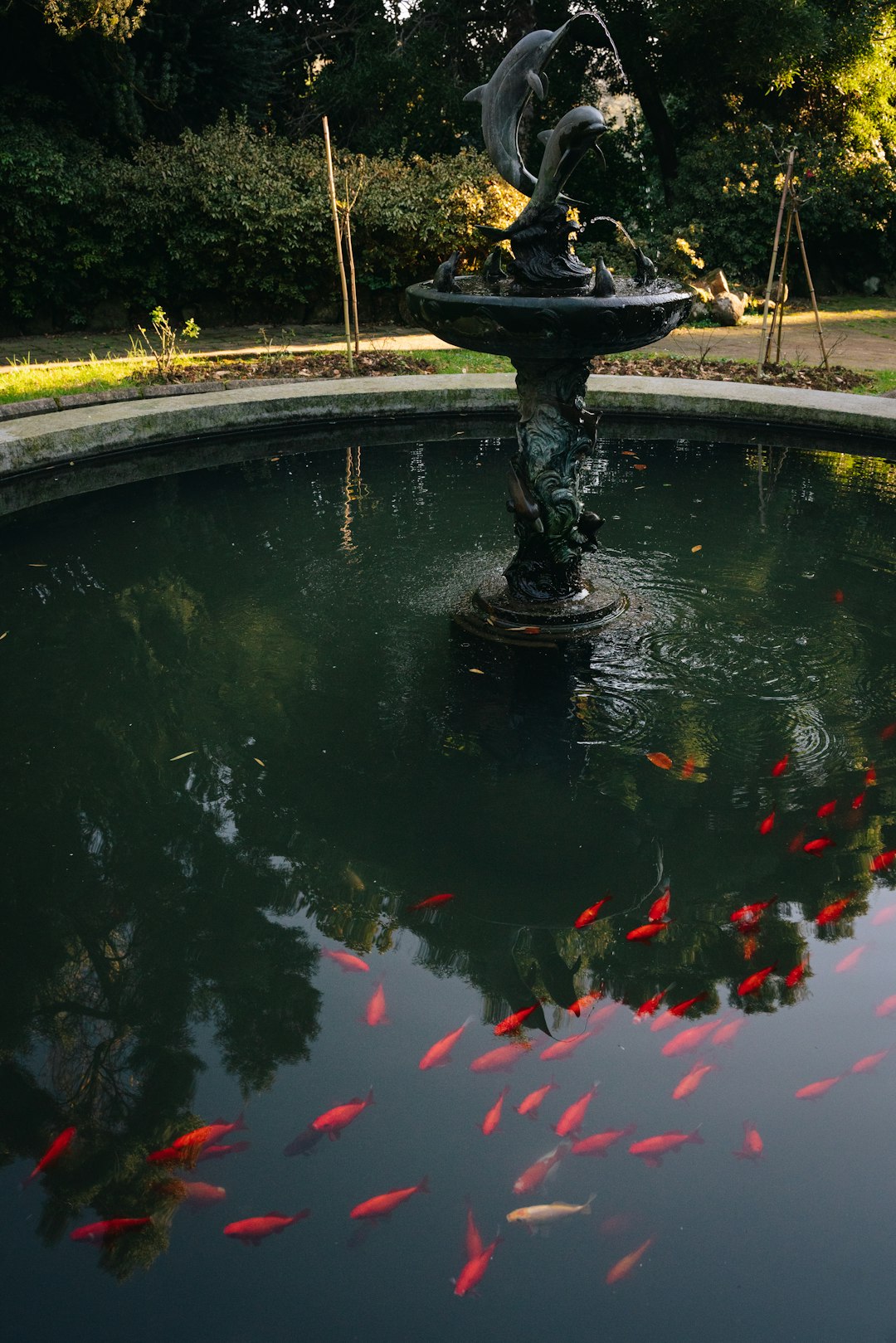 Koi Ponds & Water Features