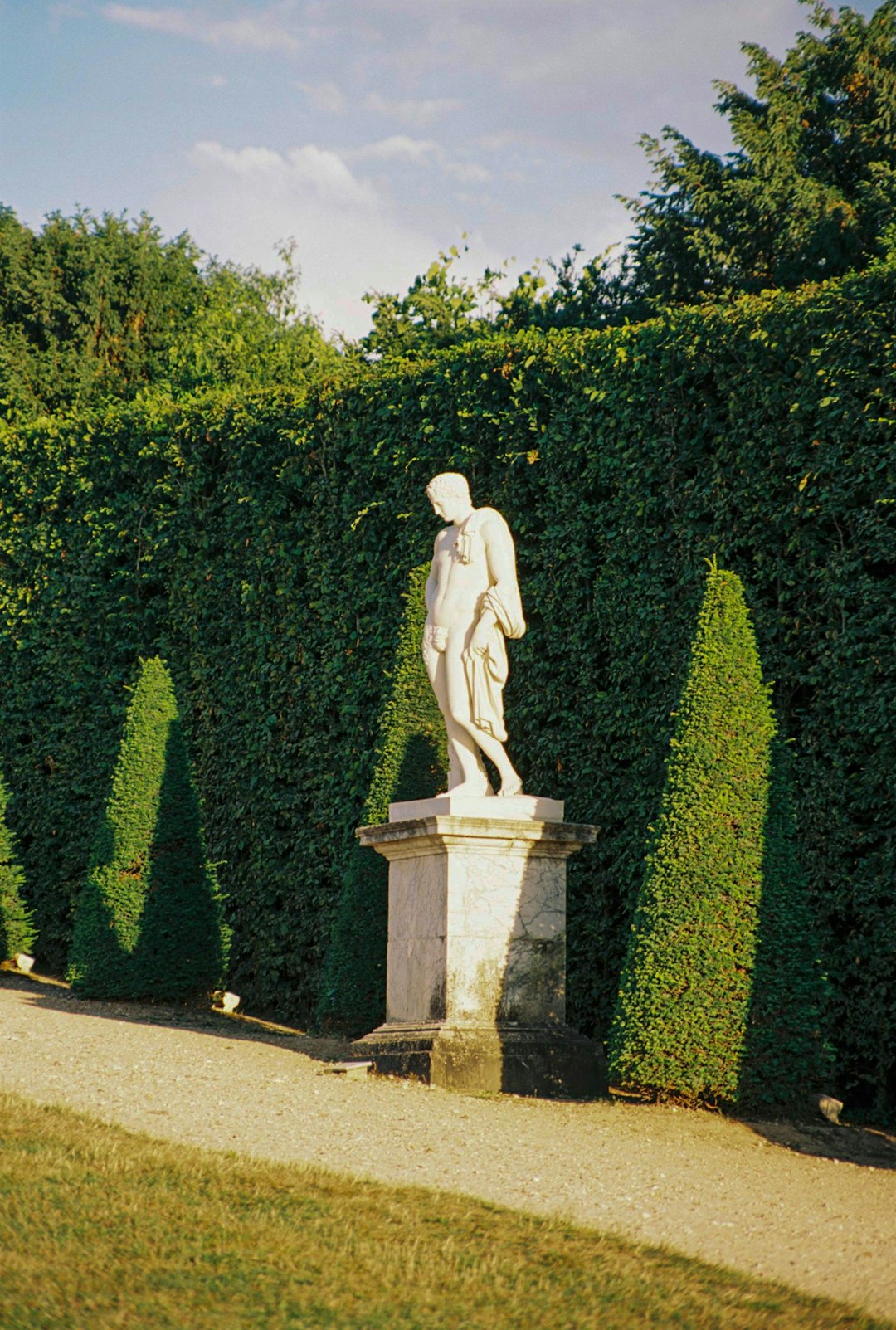 Tree & Shrub Design